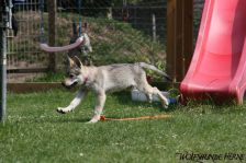 Dynamite from Bandit´s World am 14.06.2011