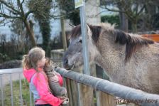 Welpen F-Wurf am 05.01.2014