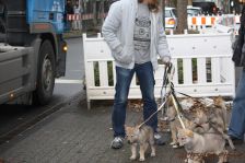 Welpen F-Wurf am 06.01.2014