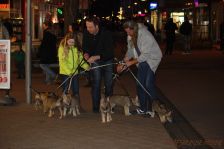 Welpen F-Wurf am 08.01.2014
