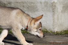Fanny from Bandit´s World am 28.01.2014
