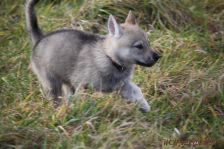 Feivel from Bandit´s World am 03.01.2014
