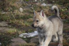 Feivel from Bandit´s World am 03.01.2014