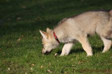Feivel from Bandit´s World am 12.01.2014