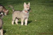 Feivel from Bandit´s World am 12.01.2014