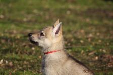 Feivel from Bandit´s World am 12.01.2014