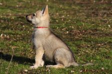 Feivel from Bandit´s World am 12.01.2014