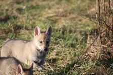 Feivel from Bandit´s World am 14.01.2014