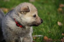 Feivel from Bandit´s World am 16.12.2013