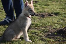 Feivel from Bandit´s World am 19.01.2014