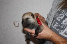 Feivel from Bandit´s World am 25.11.2013