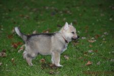 Feivel from Bandit´s World am 25.12.2013