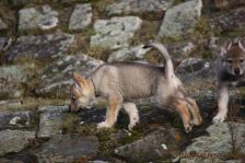 Floyd from Bandit´s World am 03.01.2014