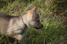 Floyd from Bandit´s World am 03.01.2014