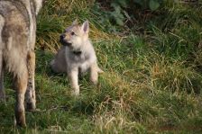 Floyd from Bandit´s World am 03.01.2014