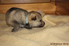 Floyd from Bandit´s World am 04.12.2013