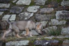 Floyd from Bandit´s World am 10.01.2014