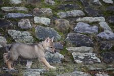 Floyd from Bandit´s World am 10.01.2014