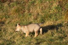 Floyd from Bandit´s World am 10.01.2014