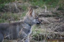 Floyd from Bandit´s World am 10.01.2014