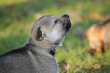 Floyd from Bandit´s World am 13.12.2013