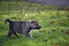 Floyd from Bandit´s World am 16.12.2013