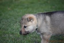 Floyd from Bandit´s World am 18.12.2013