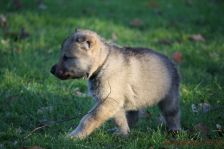 Floyd from Bandit´s World am 20.12.2013