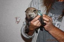 Floyd from Bandit´s World am 25.11.2013