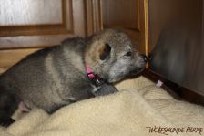 For me from Bandit´s World am 04.12.2013