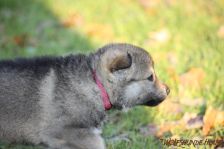 For me from Bandit´s World am 13.12.2013