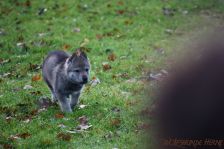 For me from Bandit´s World am 28.12.2013