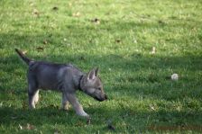 Fraser from Bandit´s World am 12.01.2014