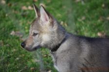 Fraser from Bandit´s World am 18.01.2014