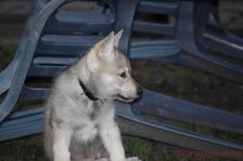 Gwendy from Bandit´s World am 16.01.2015