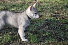 Gwendy from Bandit´s World am 17.01.2015