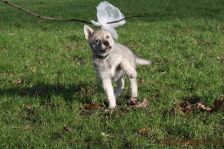 Gwendy from Bandit´s World am 17.01.2015