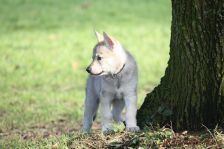 Gwendy from Bandit´s World am 17.01.2015