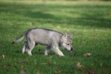 Gwendy from Bandit´s World am 17.01.2015