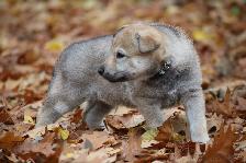 Hashtag Houston from Bandit´s World am 13.11.2016